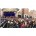 Oliviers 2013